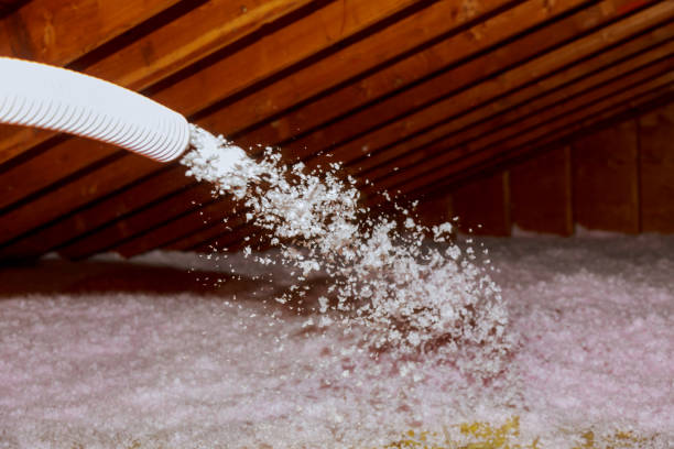 Best Insulation for New Construction  in Holtsville, NY