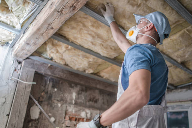 Best Insulation Contractors for Homes  in Holtsville, NY