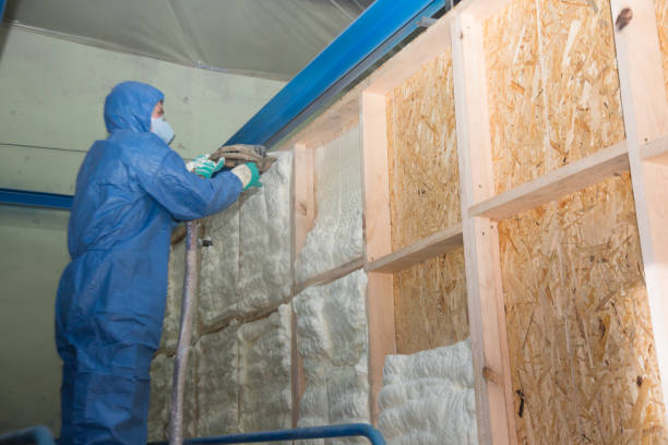 Best Residential Insulation Services  in Holtsville, NY