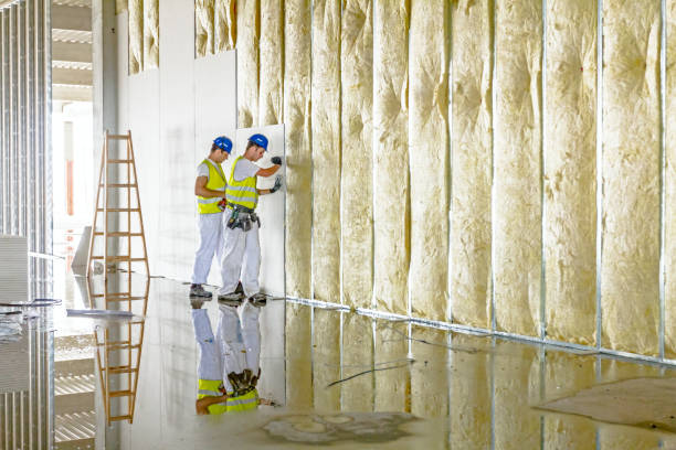Best Attic Insulation Installation  in Holtsville, NY